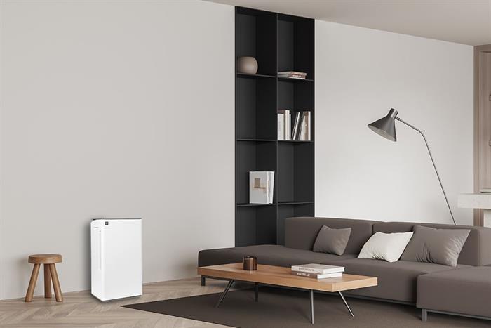 Máy hút ẩm Sharp DW-T30HV-W